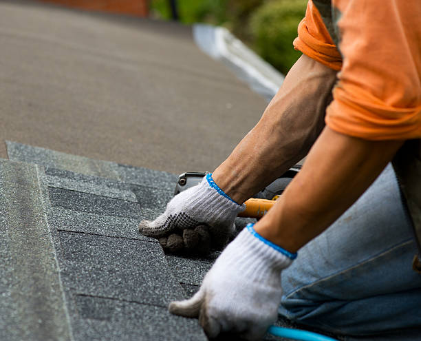 Quick and Trustworthy Emergency Roof Repair Services in Palm Coast, FL